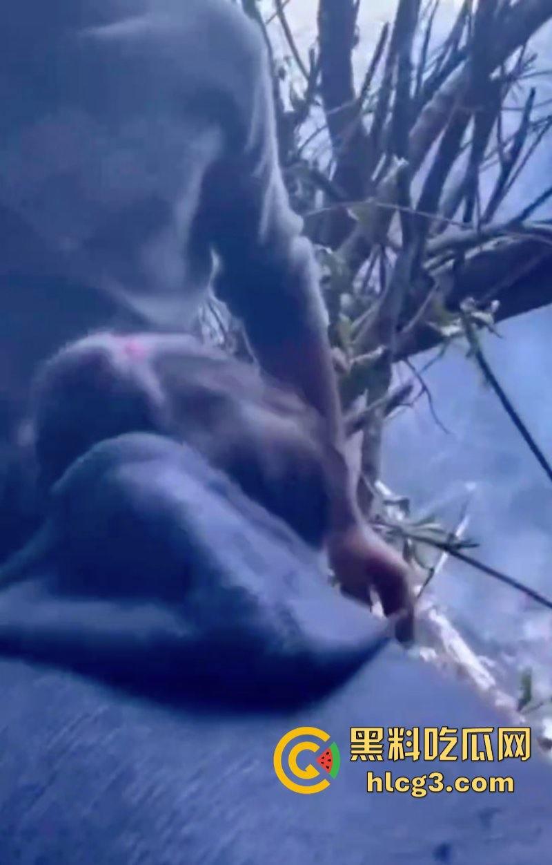 没事别出门！4名中国公民在尼泊尔直升机坠机事件中遇难！-8