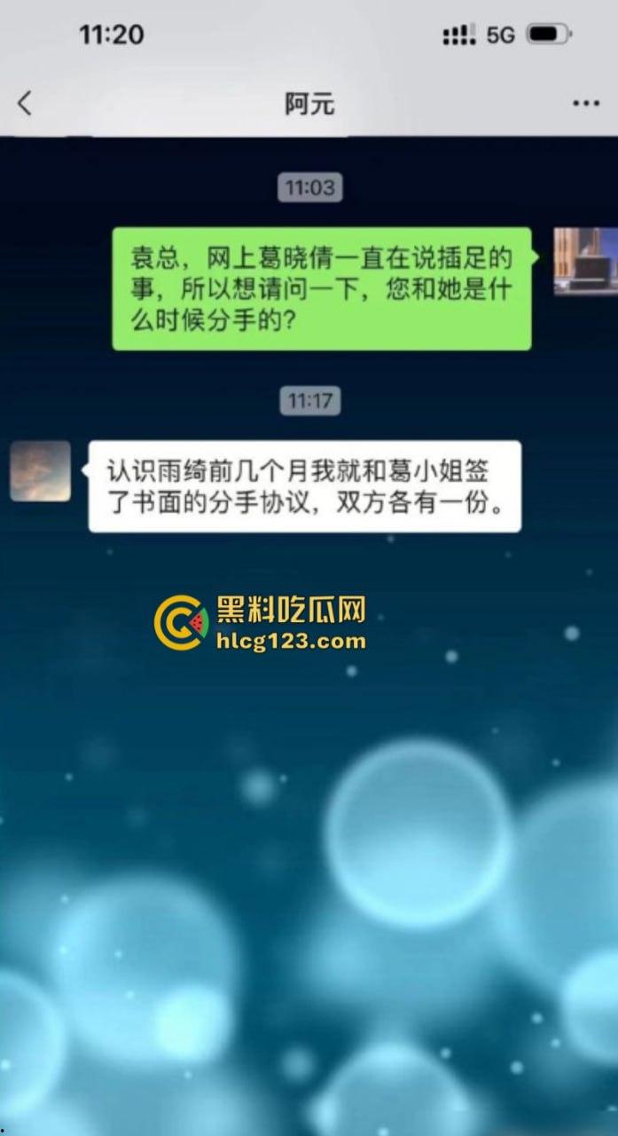 新锤！葛晓倩曝张雨绮入室出轨视频 保姆索封口费内幕！-12