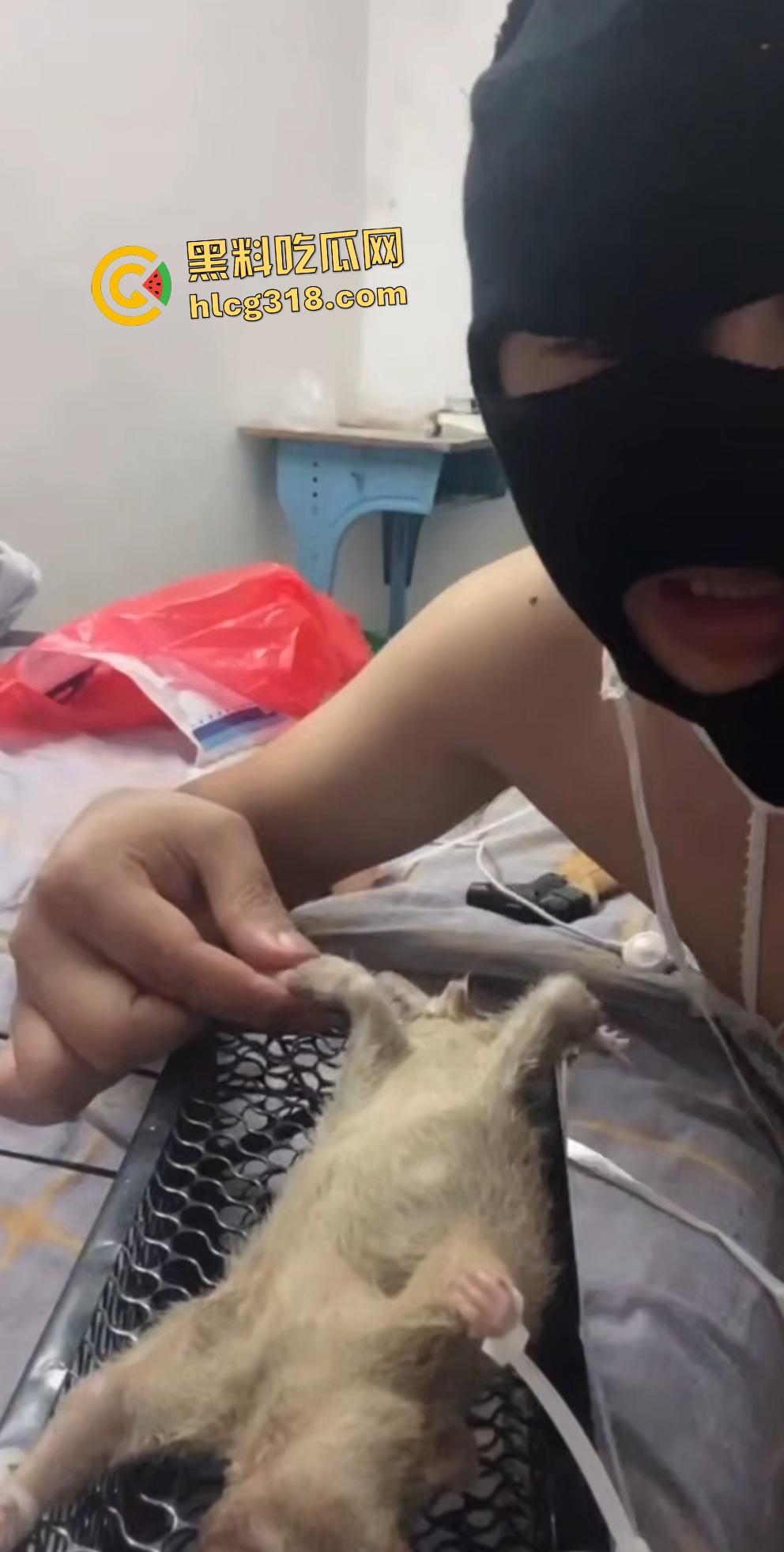 人兽变态新高度！蒙面猛男生啃死老鼠小鸡鸡，带着面罩生怕别人不知道是变态？-5