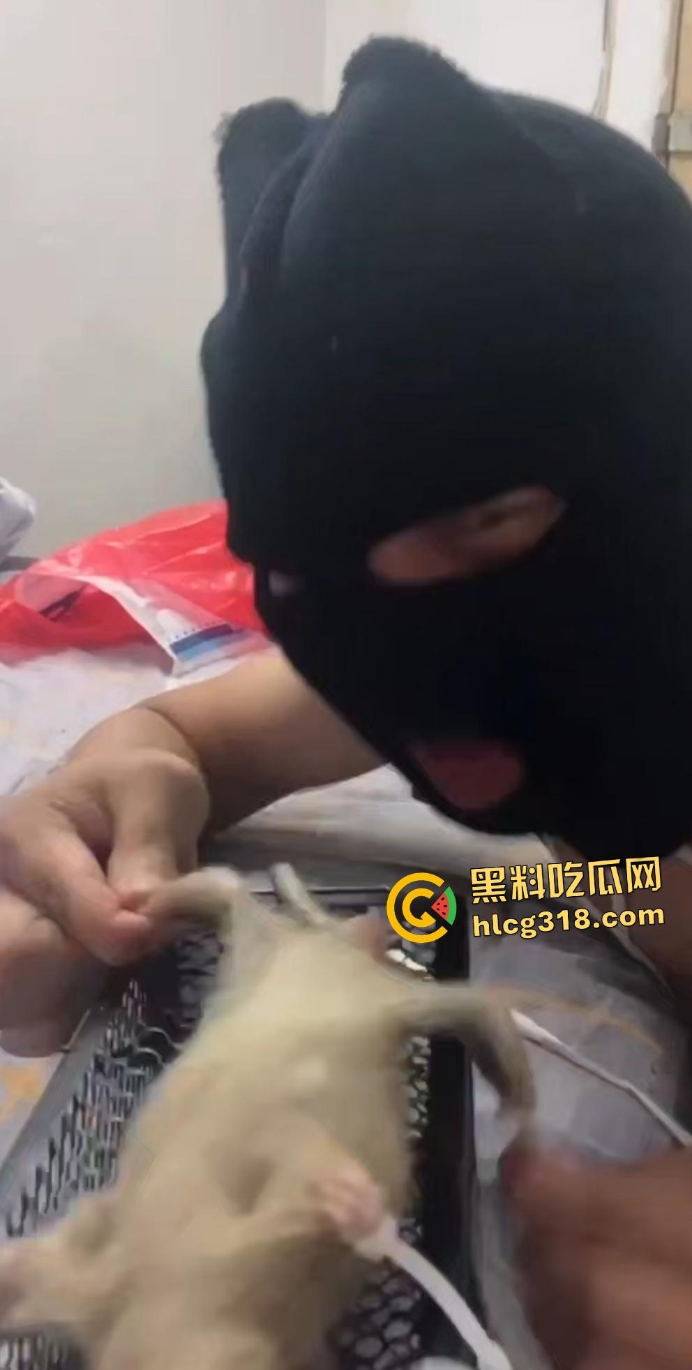 人兽变态新高度！蒙面猛男生啃死老鼠小鸡鸡，带着面罩生怕别人不知道是变态？-7