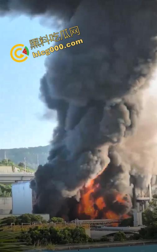 厦门海沧区发生重大火灾!从白天烧到晚上,画面震憾堪比导弹爆炸,蘑菇云不断冒出,惹得人心惶惶-9