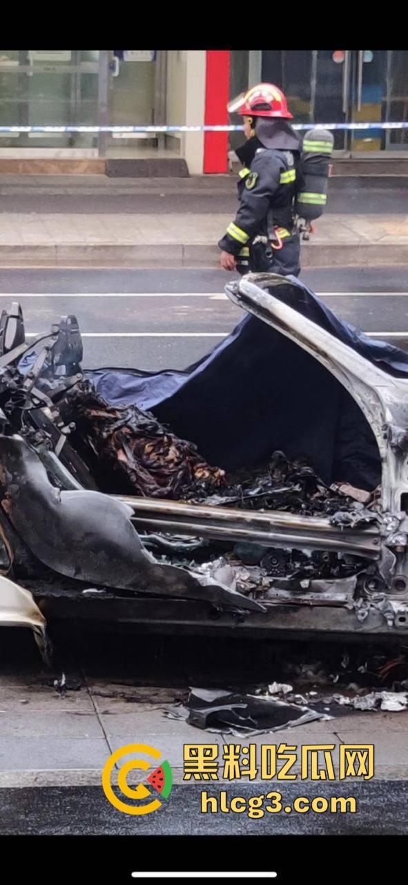 树：我没有动手啊！浙江一辆保时捷撞电动车后撞树起火驾驶人死亡！-9