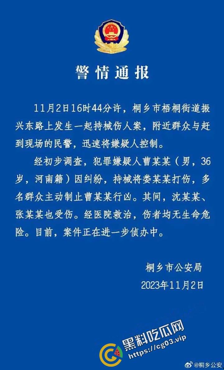 桐乡 男子因纠纷行凶 用榔头猛烈锤击美女律师头部  当场被制服-4