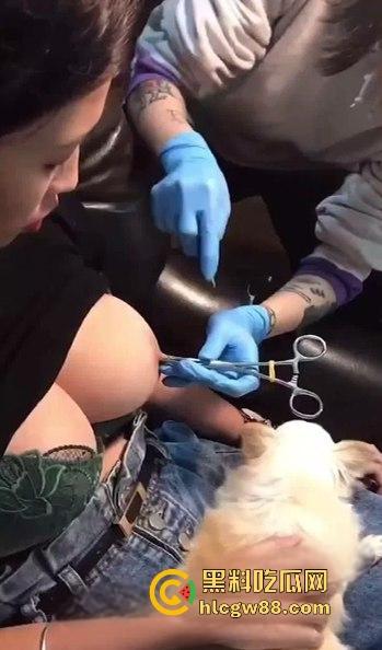 柳州精神小妹直播打乳环，大白奶挂铃铛淡定自若，SM调教系狗绳，这奶白花花真会玩！-8