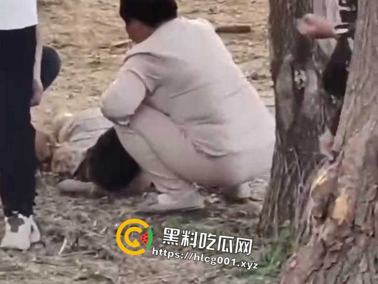 河南郑州阳市黄河桃花峪大桥一马场有小孩头朝下被马疯狂拖行看着属实揪心阿-5