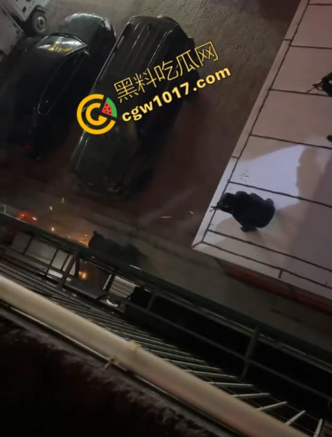 惊讶！宝清市街头惊现巨熊，警察开枪击毙，血洒街头，网友热议动物保护与城市安全！-5