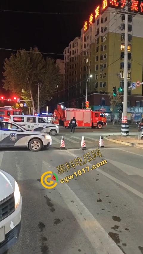 惊讶！宝清市街头惊现巨熊，警察开枪击毙，血洒街头，网友热议动物保护与城市安全！-8