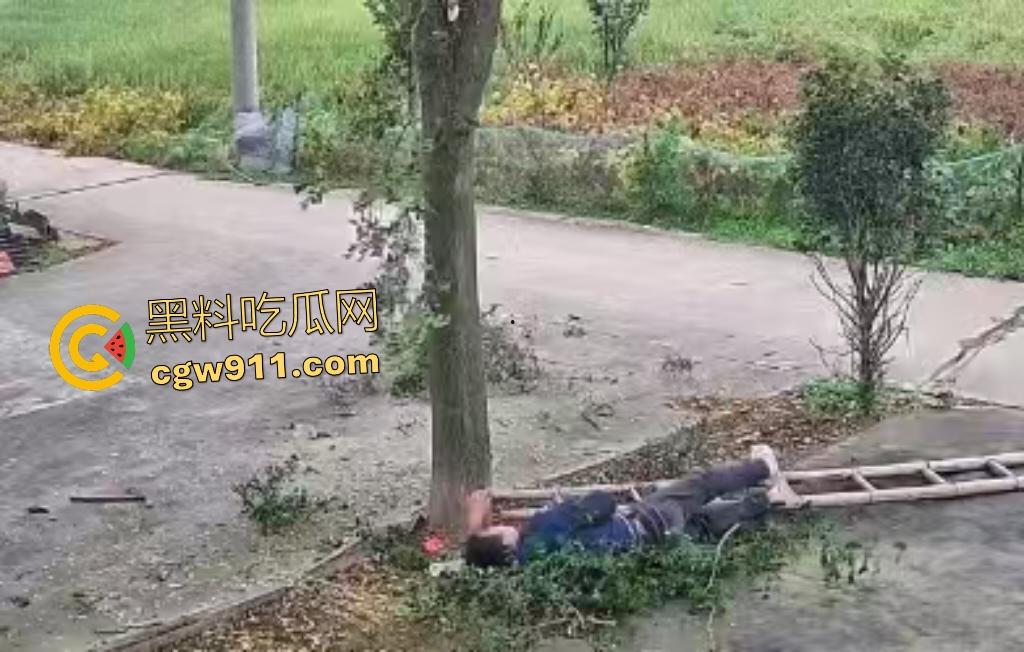 大爷作死上树砍枝惨摔内伤！年过半百爬木梯伐树，树枝滑落砸翻落地，这才是真伐木累，痛到怀疑人生！-4