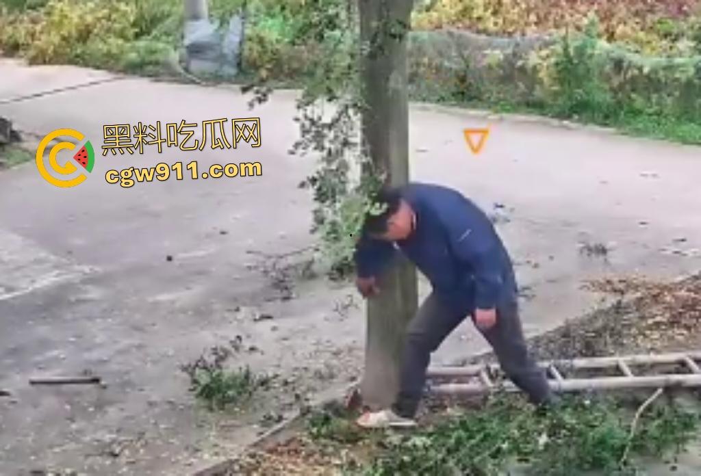 大爷作死上树砍枝惨摔内伤！年过半百爬木梯伐树，树枝滑落砸翻落地，这才是真伐木累，痛到怀疑人生！-7