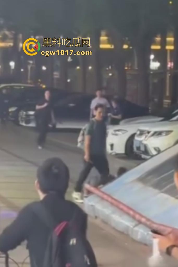 11月17日晚广东珠海拱北火车站突发持刀伤人事件,男子随机追砍路人多人受伤,保安联合警方制服嫌疑人!-4