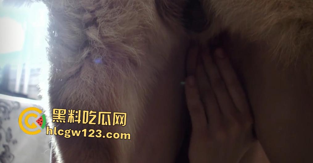 老外青少年被德牧肛交狂操,狗鸡巴一拔出来猛喷精液,只可惜这屁眼塞不下!-7