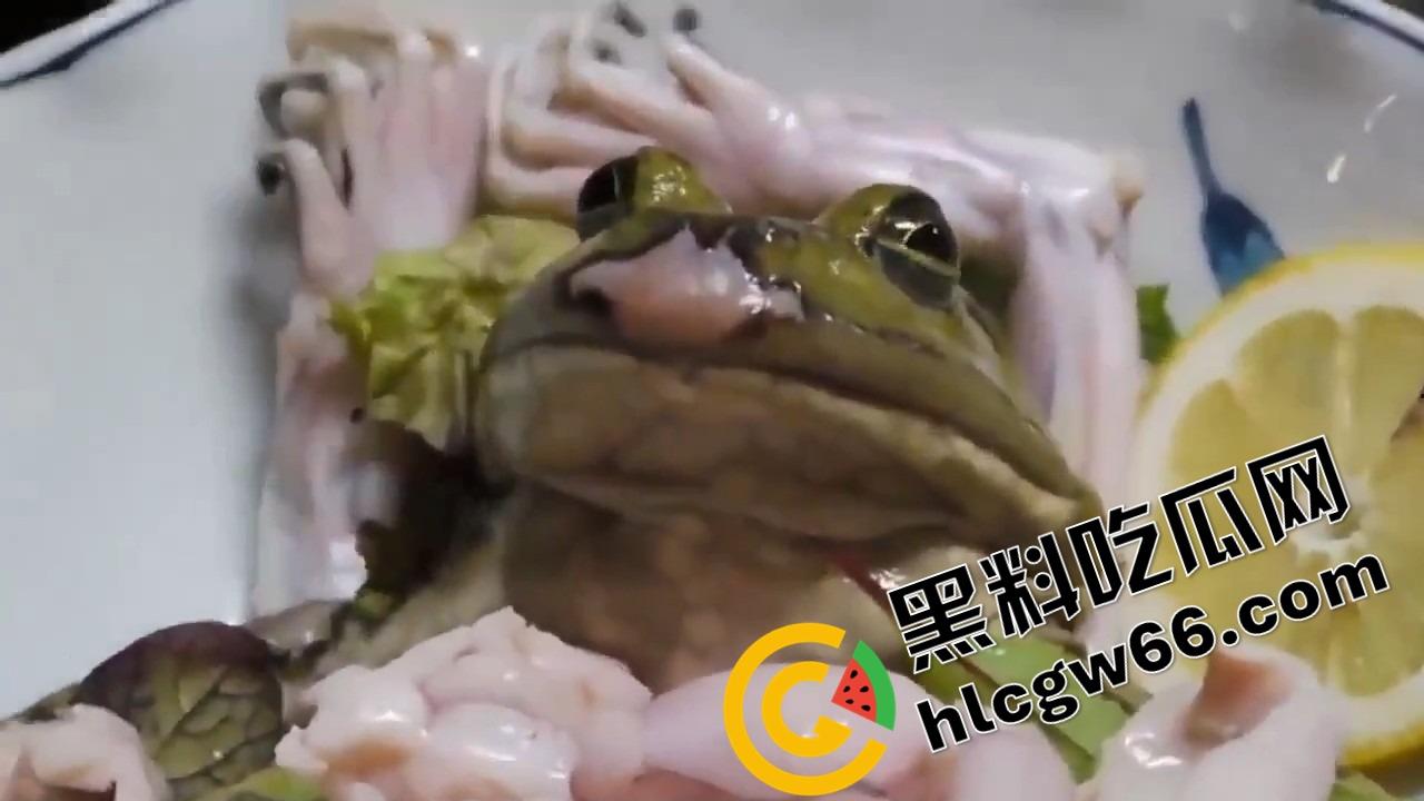 蛙蛙刺身，现杀现吃！上半身还在挣扎，下半身已经下肚，小日子这口味是真敢整！-1