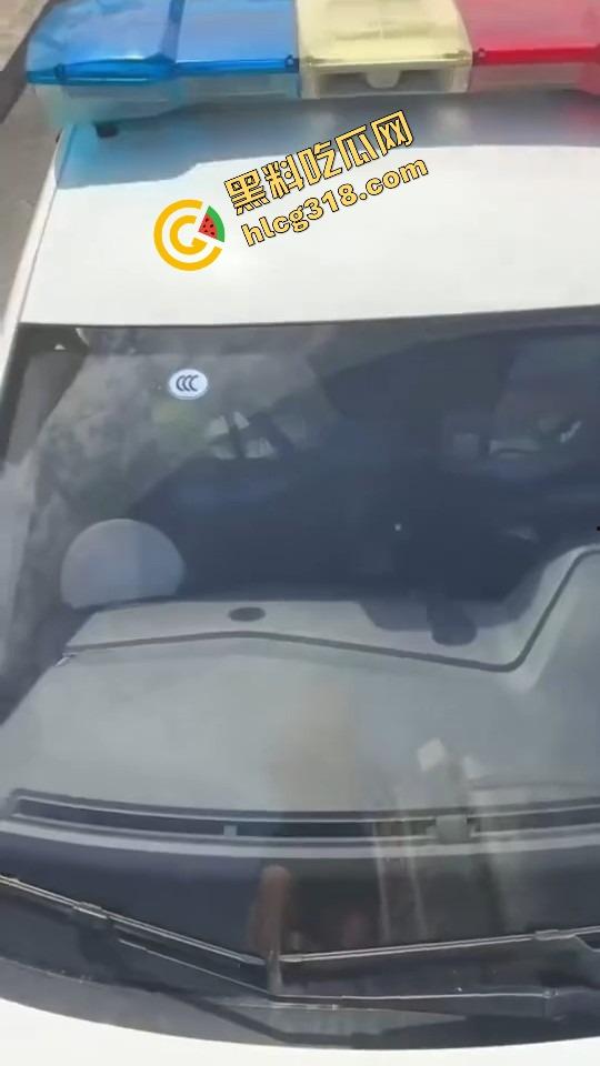 山东菏泽违停被贴条不服还爬警车狂吼,网红『玲玲宝贝』在线上演癫婆斗交警!-18