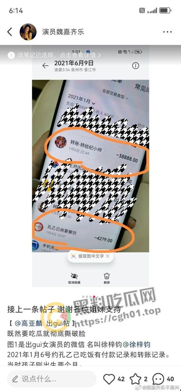 家有儿女【夏东海】出轨!扮演者【高亚麟】被妻子实锤出轨家暴 未删减实锤证据流出-4