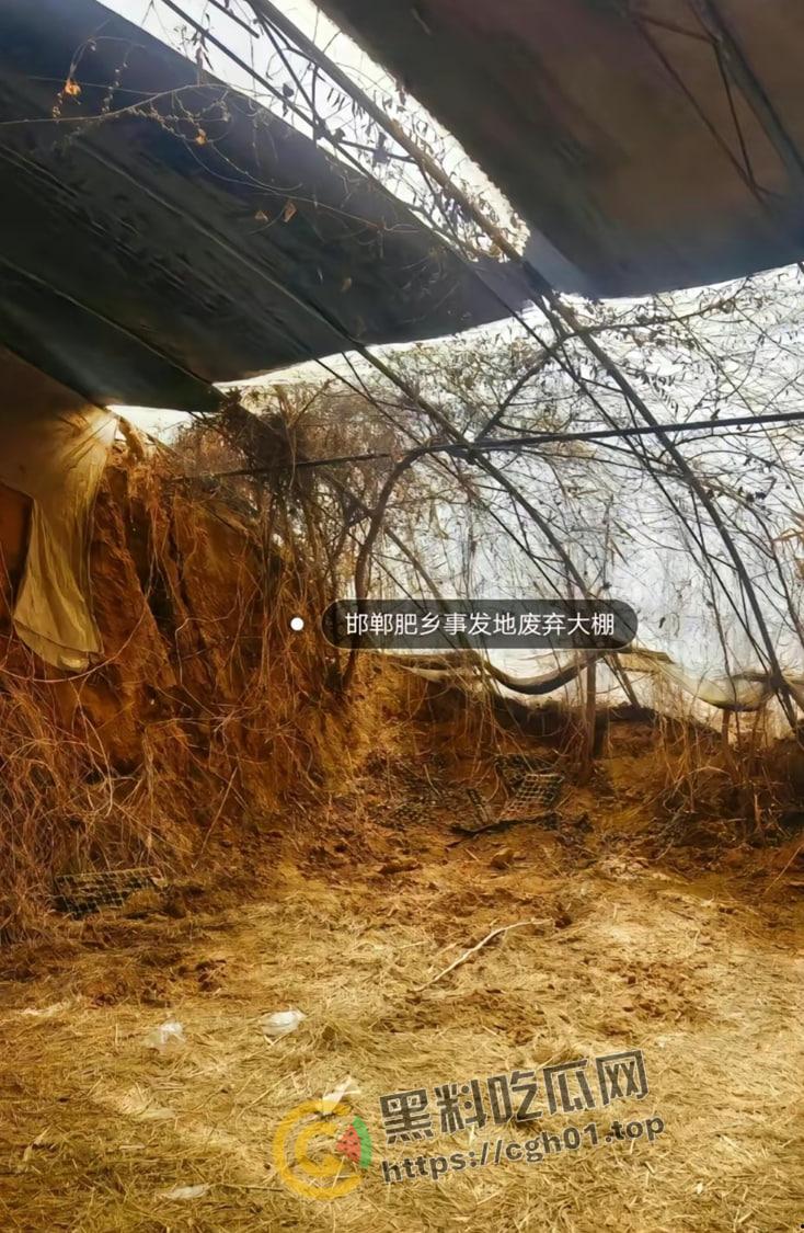 河北邯郸【王子耀】案件后续！相关直播间被封 疑似有家长协助 死者脑部CT流出被打稀烂 疑点重重-3