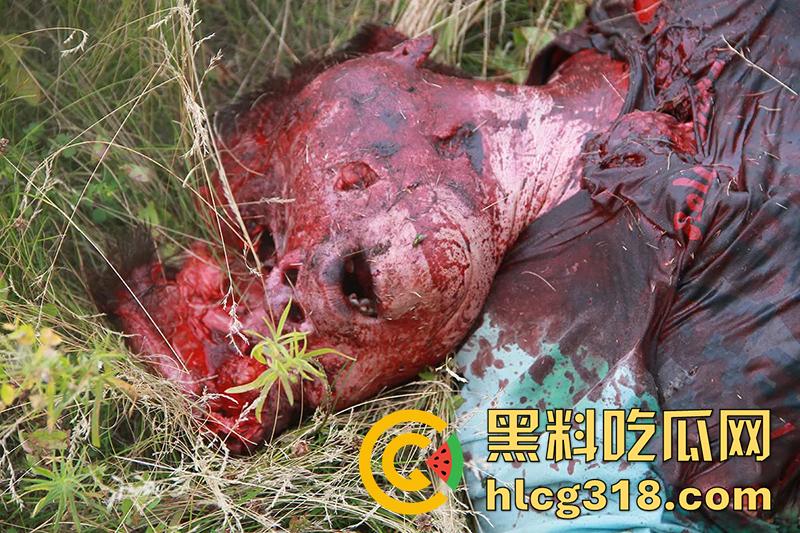 暗网流出尸海现场！马航MH17空难，遍地尸骸裸体女尸触目惊心，航空公司内部罕见画面胆小勿入！-5