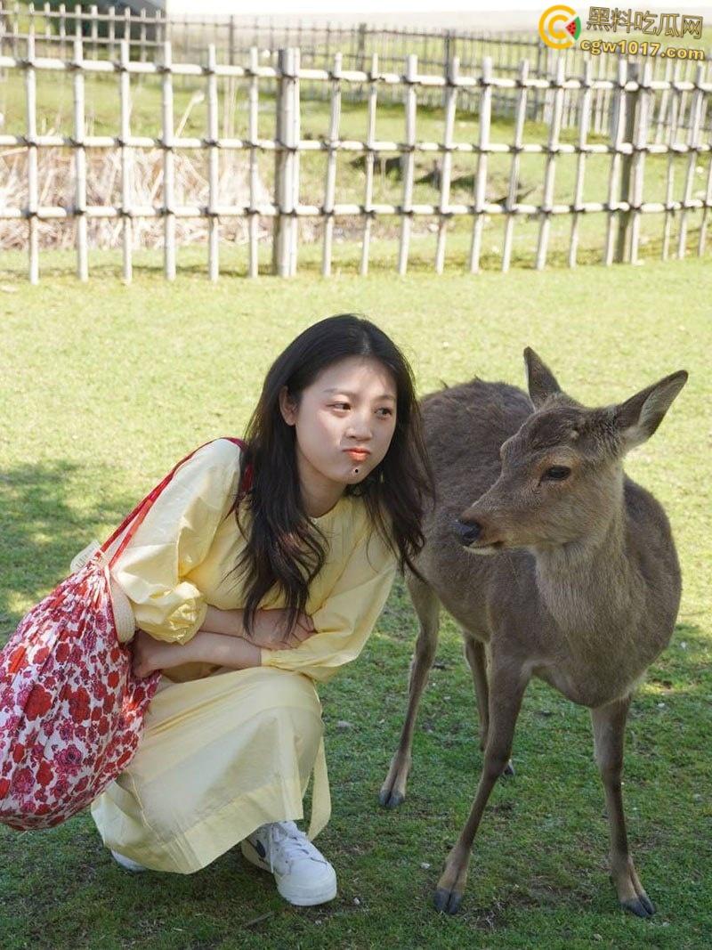 日本留学生【陈清怡】曲线玲珑美乳饱满，口技高超吞吐拉丝，翘臀圆润后入爆操，臀浪翻天！-2