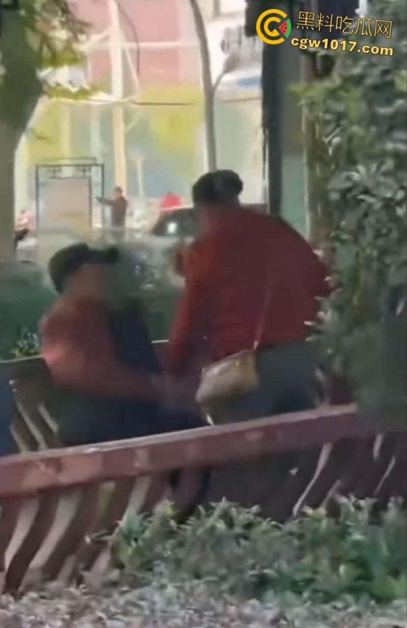 大白天凉亭活春宫，红衣大妈脱裤骑大爷，女上位啪啪响场面极其辣眼睛，大爷满脸春光，围观老头脸都红爆了 ！-1