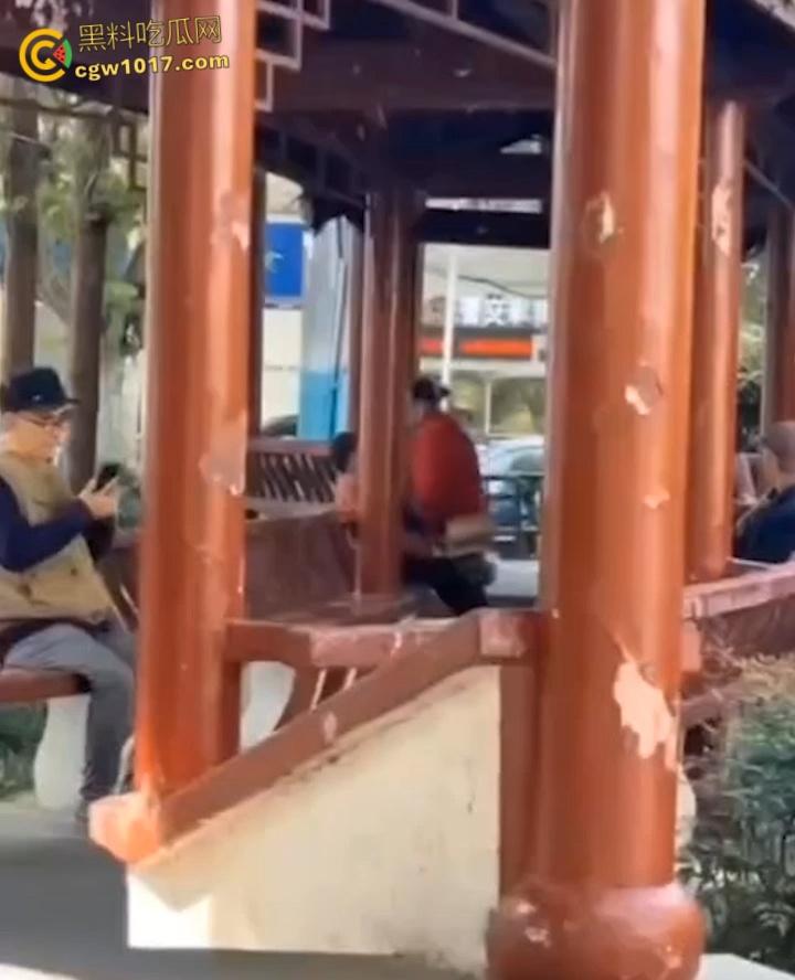 大白天凉亭活春宫，红衣大妈脱裤骑大爷，女上位啪啪响场面极其辣眼睛，大爷满脸春光，围观老头脸都红爆了 ！-7