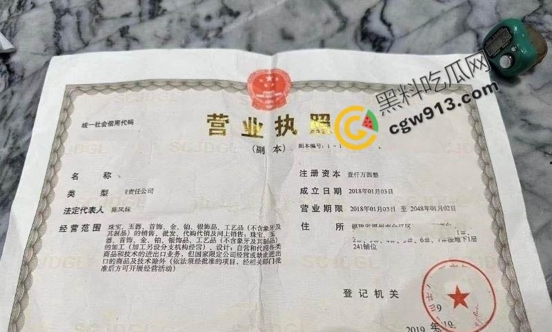 福建女总裁陈凤琴的淫荡人生：白天霸气总裁，晚上豪掷千金点男模陪玩，喜新厌旧，淫靡不堪-1