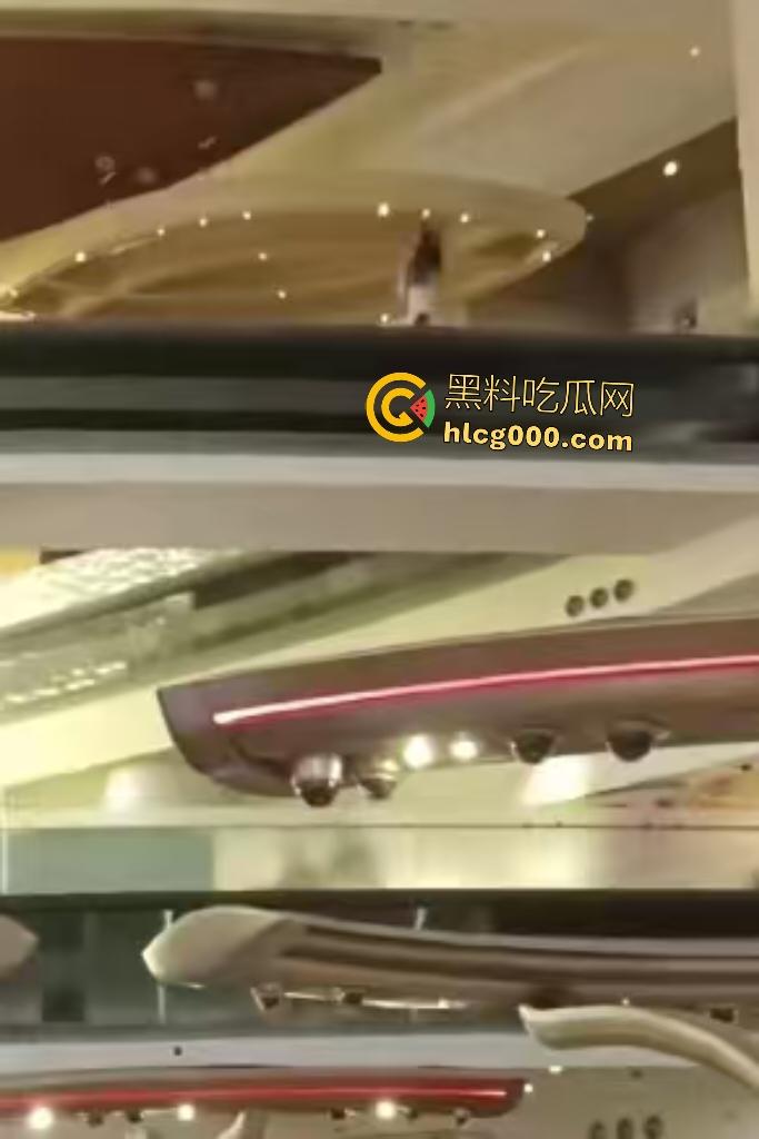 澳门金沙女子因欠下巨额赌债,在高楼跳楼,最后直接被消防人员一把拉下!-5