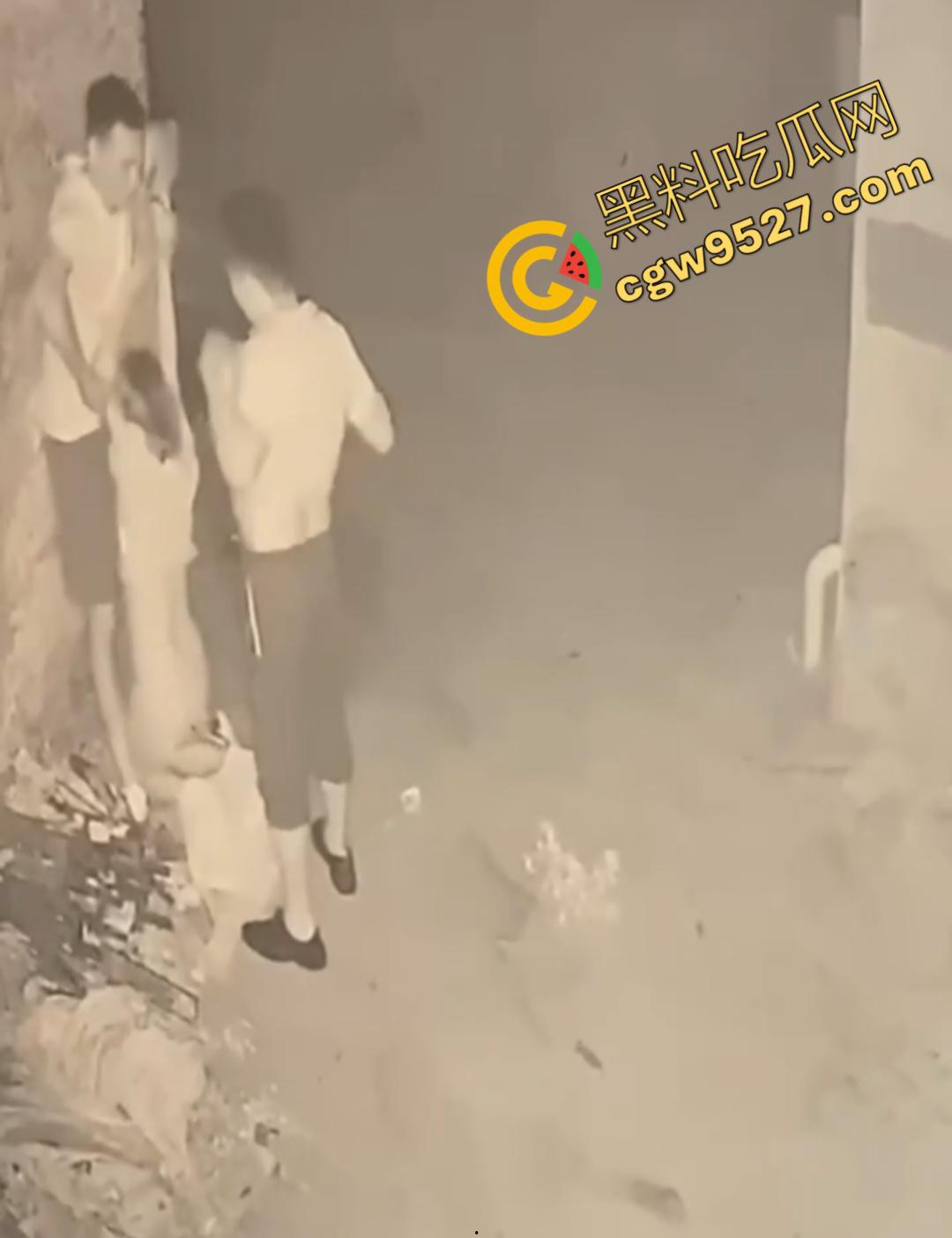 山东女子醉路边惨遭两男子轮奸!两男子色胆包天激情3P被监控全程记录,路过行人震惊不已不敢直视-3