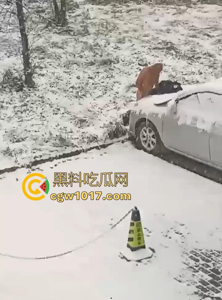 天寒地冻,大雪纷飞脱光户外开操引擎盖?冰雪热欲碰撞,性压抑爆棚狠人狂怼引擎盖,只能说是狠人!-3