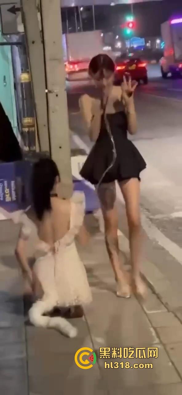 极品好闺蜜深夜路边户外露出调教，白嫩小母狗牵引沿路爬行，真听话是个好狗狗！-1