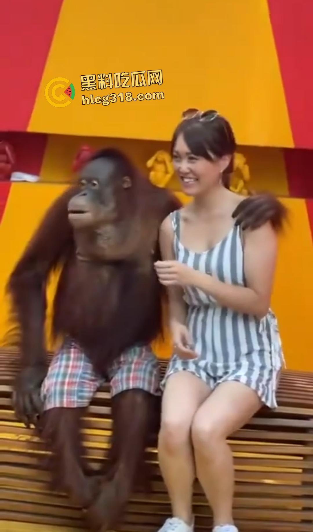 美女与猩猩合照遭“性”骚扰！亲脸抓奶牵手搞得美女笑得合不拢嘴！下辈子我也要当猩猩！-7