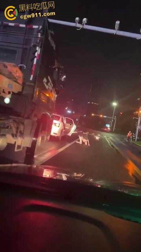 这是个有味道的视频，南沙红绿灯路口拉屎，这是憋不住了吗，还有美女下来送纸，这小翘臀还挺性感的！-4