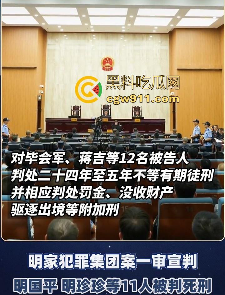 缅甸四大家族之一明家终于判刑了，5人判处死刑11人判无期12人二十四年至五年不等，对这种人渣应该全部死刑！-4