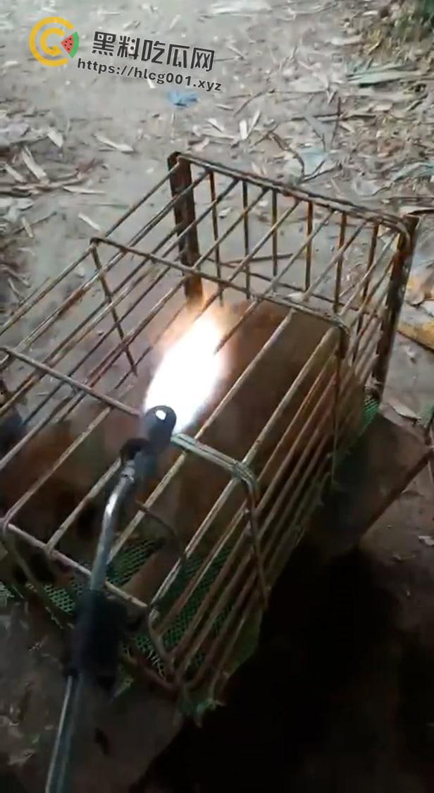 爱狗人士原地去世！男子把狗关进笼子喷火器狂烧 还在嚣张嘲讽 变态来了都得骂变态-1