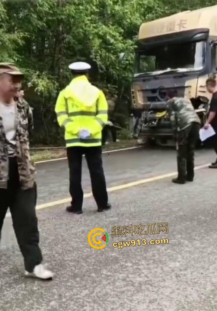 黑龙江货车狂飙撞扁16头活牛，尸体拉长成肉泥，丢草丛无人收，这下司机要赔得血本无归！-4