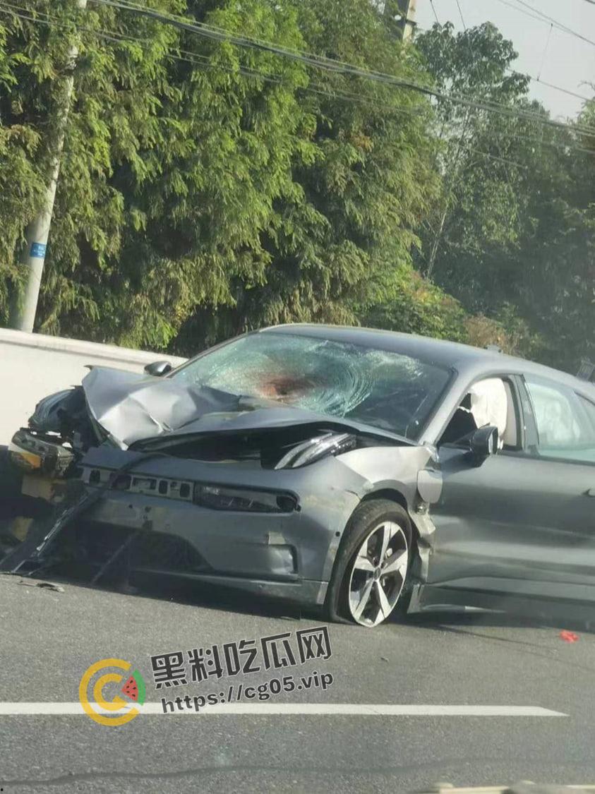 浙江极氪001撞死横穿马路路人 人头分离 整个脑浆撞出来了 现场血腥画面报告-1