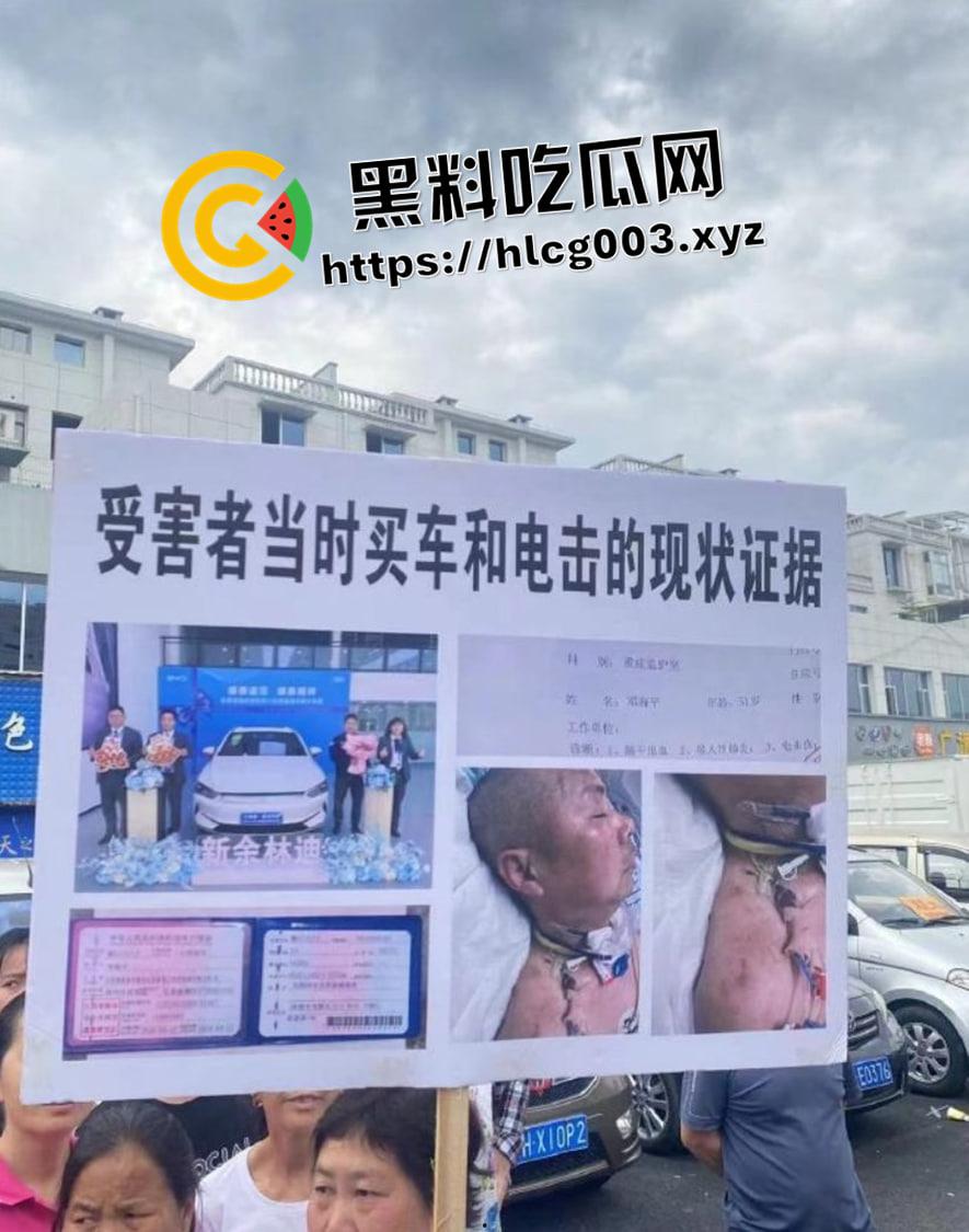 比亚迪车内被电击第一视角！简直就是电车版杨永信  微博抖音被删除视频完整版-1