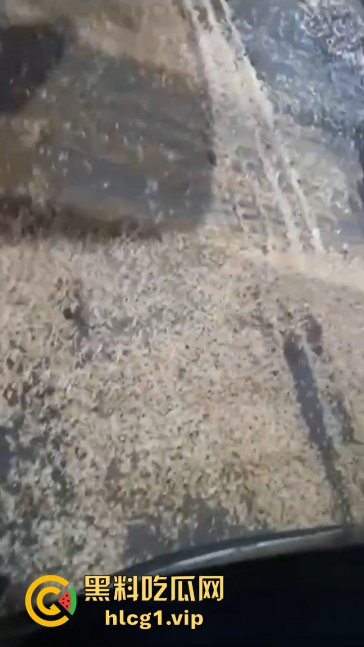 密集恐惧症慎入！湖南常德汉寿沅水大桥 飞虫像下雪一样“至少上10亿只‘’-7