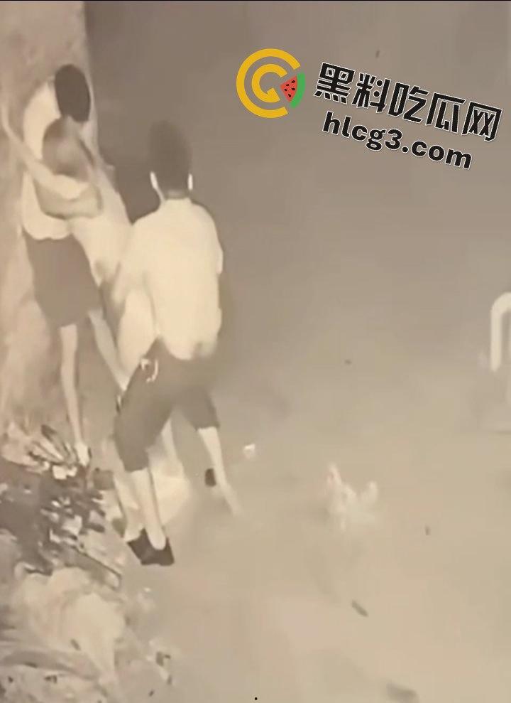 山东师范大学美女学生『薛菲』街头醉酒后被两人拉至路边强奸  被两男子插嘴后入-11