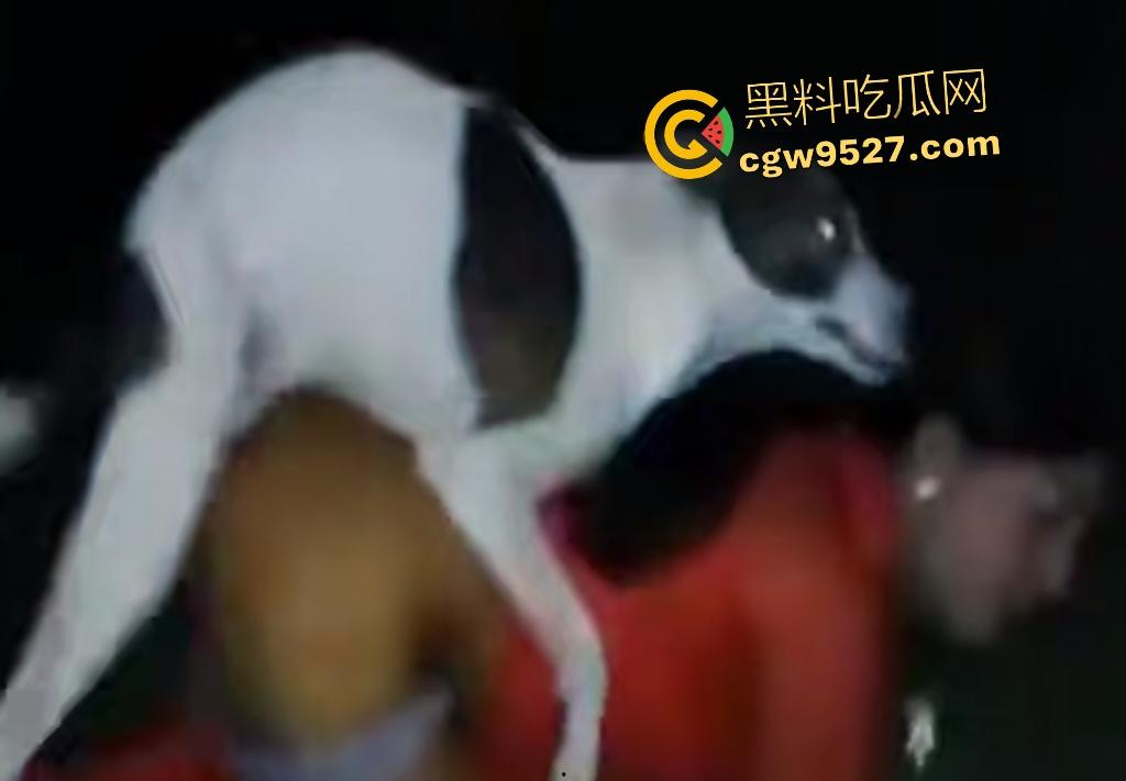 印度18岁少女为驱除“恶灵”，要嫁给一条流浪狗，深夜在户外被流浪狗后入，狗精子腥臭四溢！-3