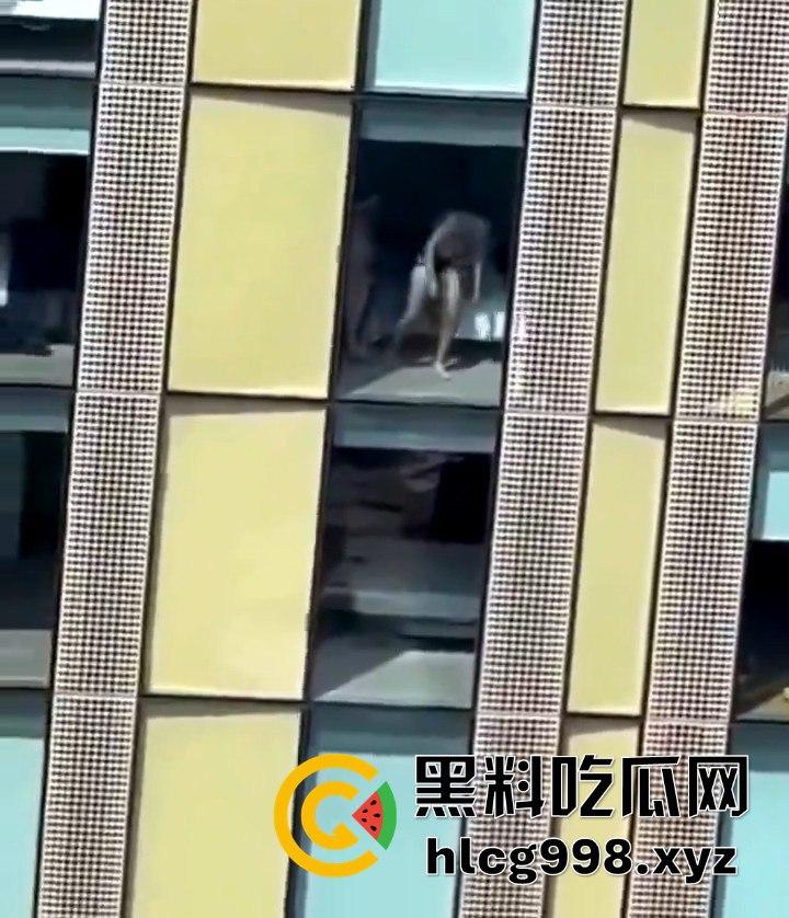 我嘞个骚刚!瓜友投稿酒店偷拍,激情后入到一半才发现是俩男的在搞!-1