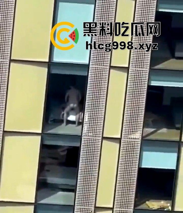 我嘞个骚刚!瓜友投稿酒店偷拍,激情后入到一半才发现是俩男的在搞!-7