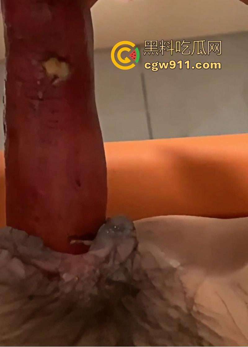 深圳职业学院清纯眼镜学生妹【林肖莹】不雅视频曝光，舌头灵活舔弄大屌，红薯插逼自慰，大饱眼福！-4