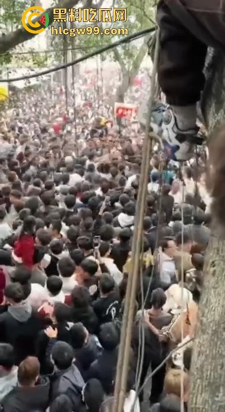 广东潮汕迎老爷因抢香炉爆发冲突,两边人马大大出手,好好的一个迎神活动搞成这样为啥呀!-7