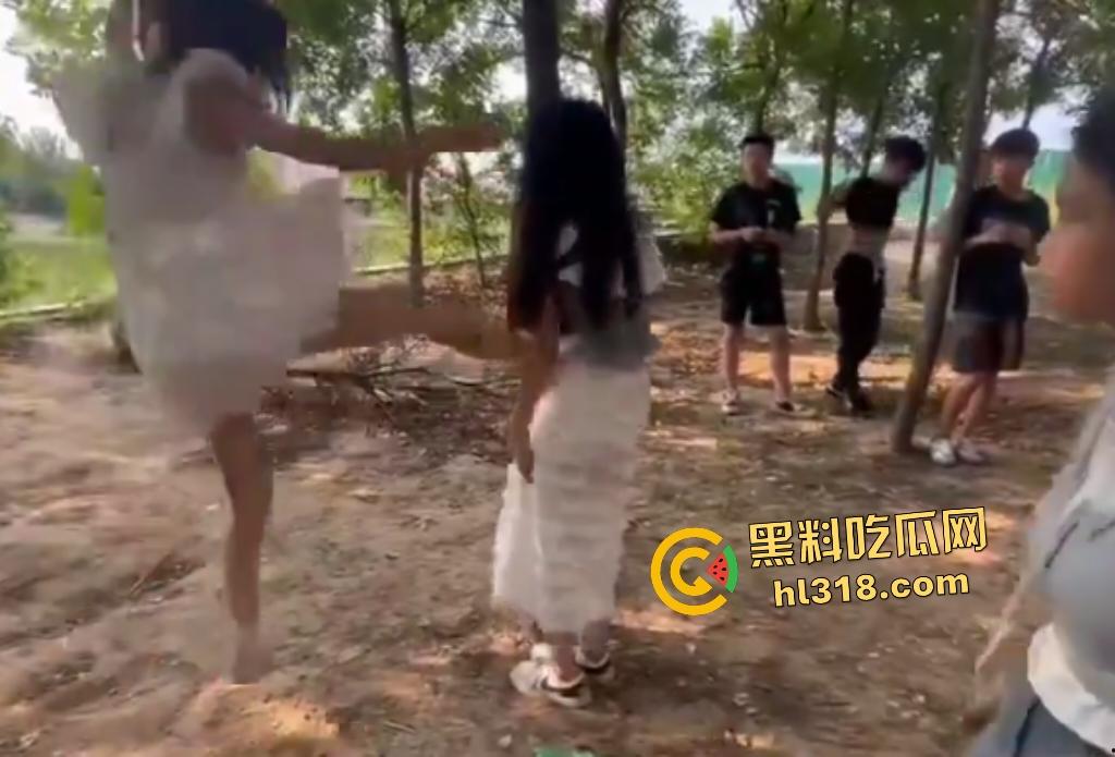 河南树林惊爆霸凌事件！精神小伙小妹群殴弱女，用手打还嫌手痛，最后直接用脚踹，腰都快要闪到了！-5