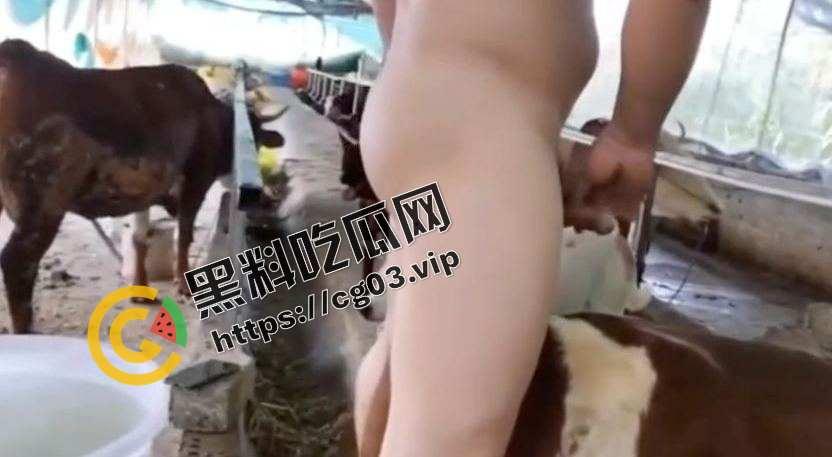 变态！一群男人强奸猪和牛  究竟是人性的扭曲还是道德的沦丧 而且越干越有劲 死活不射-3