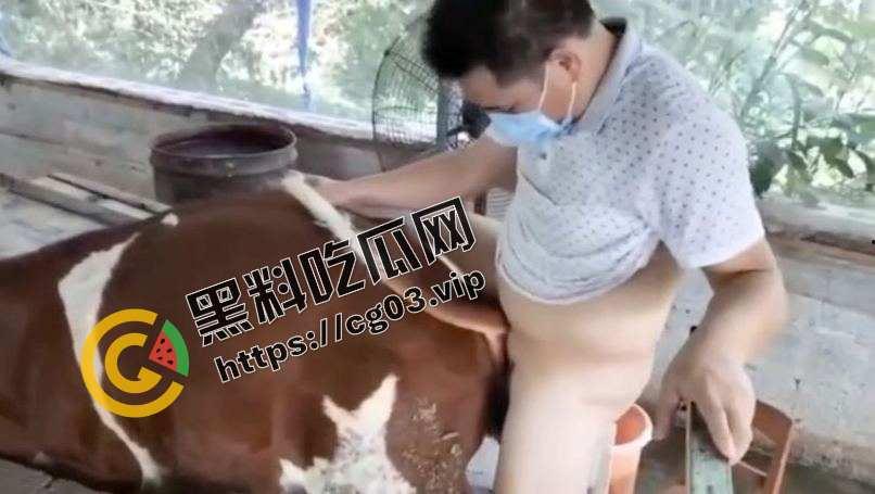 变态！一群男人强奸猪和牛  究竟是人性的扭曲还是道德的沦丧 而且越干越有劲 死活不射-4