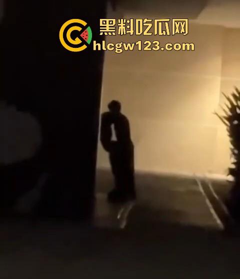 成都东郊记忆酒吧街，老外激情就干 老外就是开放 不知道干的是不是又是我们国内T0版本的小仙女！-8