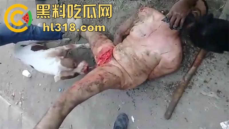 暗网恐怖性虐合集，铁钳拔乳头女尸法检，放狗啃食鸡鸡，撸管被当场剁头切割阴茎，场面血腥胆小者勿入！-3