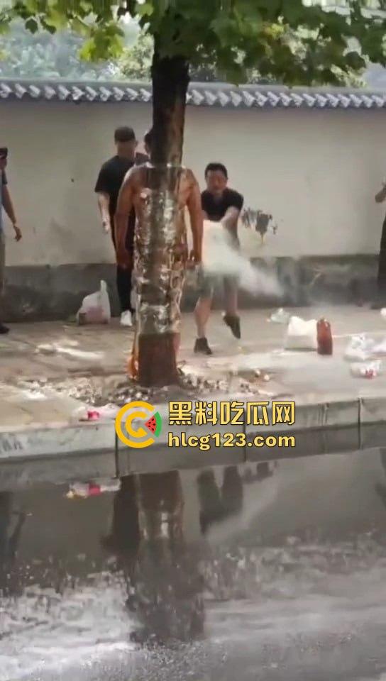 城里人的离谱操作！脱光缠树上撒面粉，这画面简直像缅北逃猪仔被抓！-3