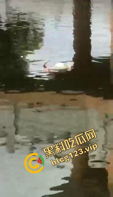 莲花公园惊现抛尸案！女尸泡得水肿，凶手太狠公园抛尸真是牛逼操作！-3