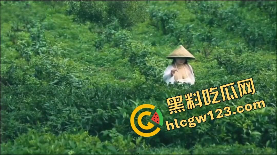 纯正奶茶现采现挤？真奶福建嫩茶打底，鲜得直流奶！那你喝的霸王茶姬，是工业冲泡的制服打工婊！-3